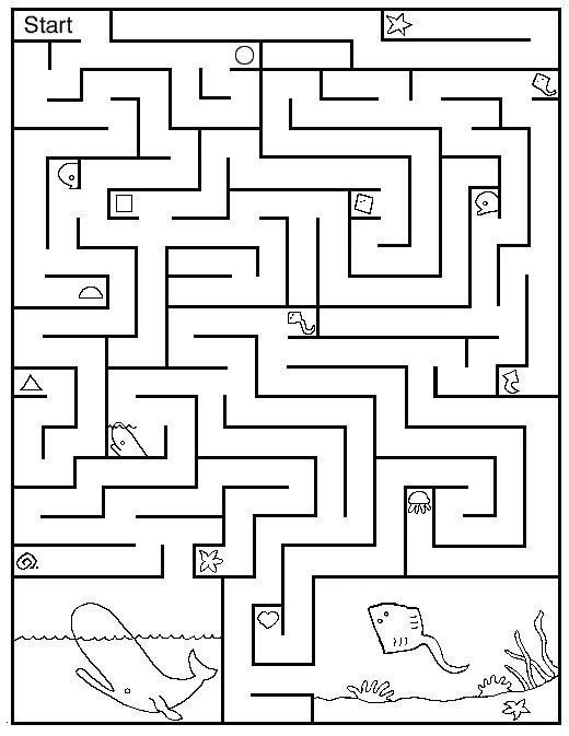 fun maze